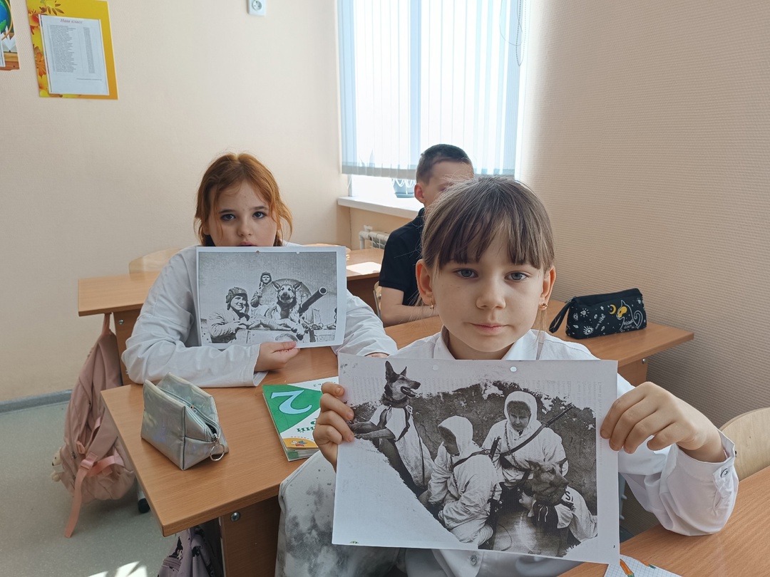 «Животные в годы войны»..
