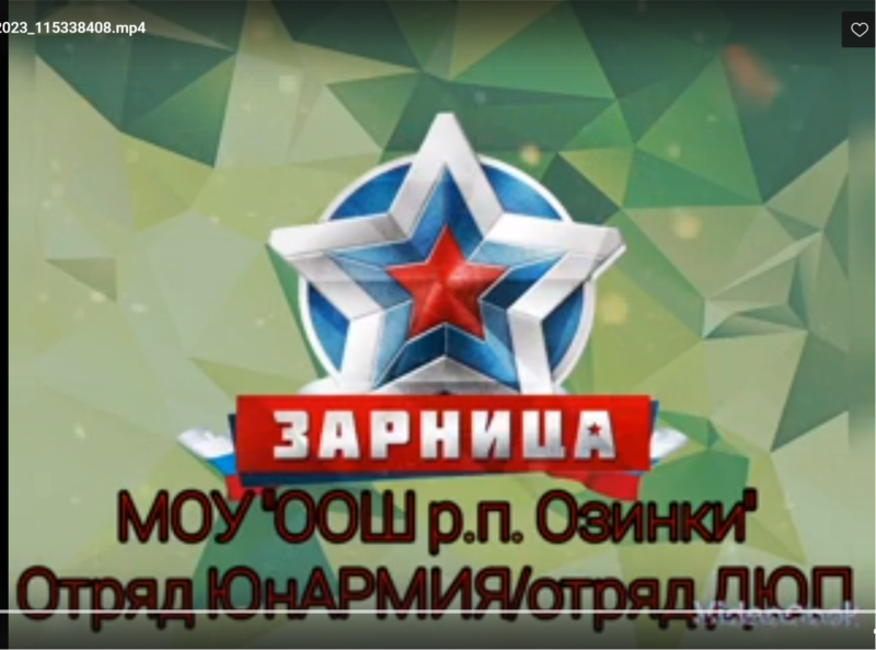 Военно-патриотическая игра &amp;quot;Зарница&amp;quot;.